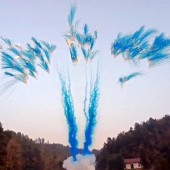 НАСЛЕДНИК ИЛИ НАСЛЕДНИЦА? (МАЛЬЧИК) БСП2910012 - Товары для гендер пати в Барнауле - яркий способ узнать пол ребенка сюрпризом